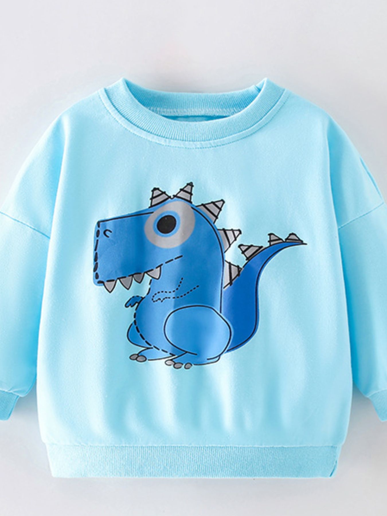 Children's Dinosaur Graphic Crew Neck Sweatshirt
