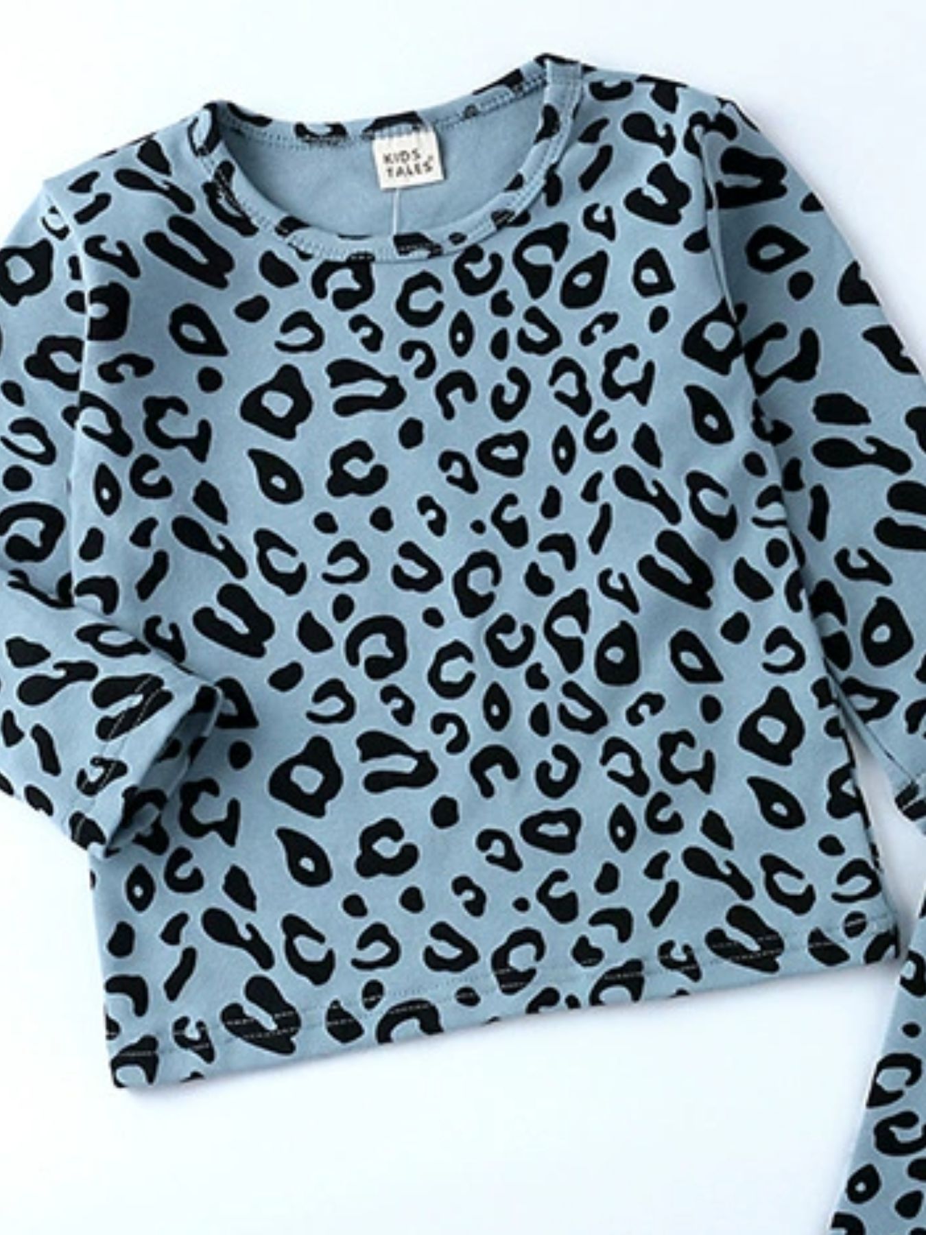 Children's Leopard Print Long Sleeve Top and Pants Set