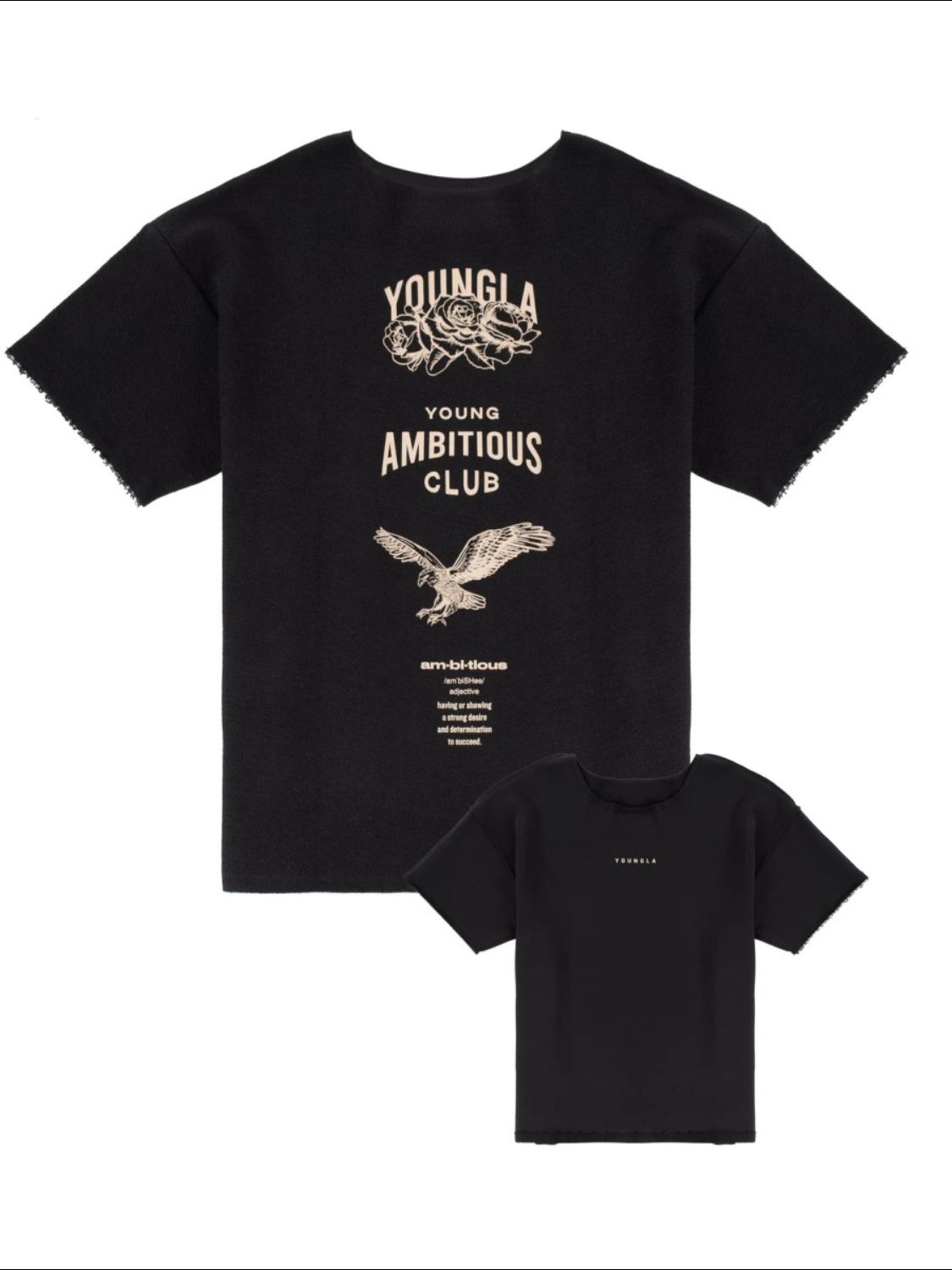 Men's Plus Size Graphic Round Neck Short Sleeve T-Shirt