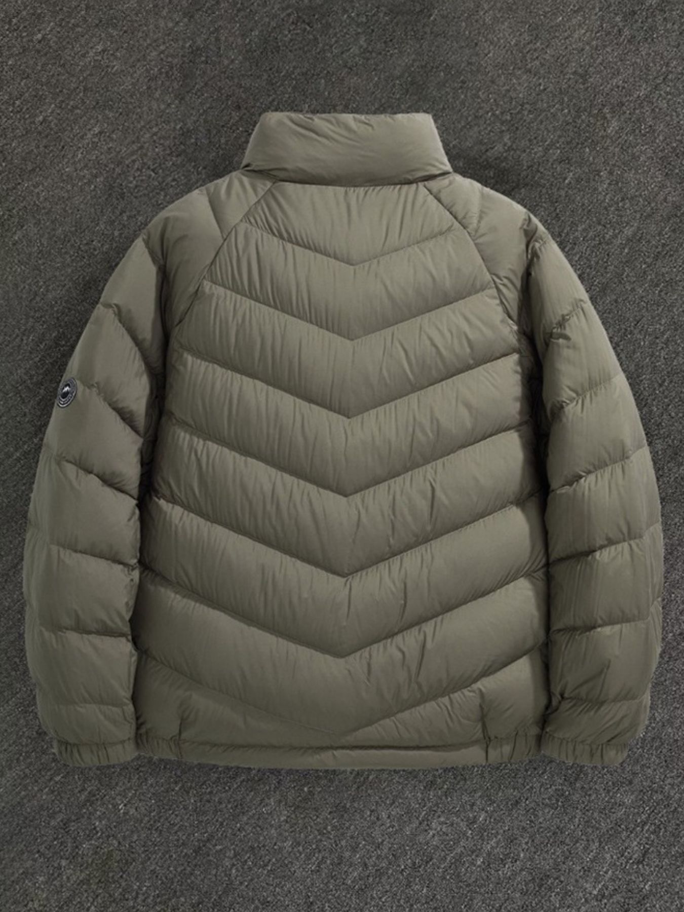 Men's Plus Size Zip Up Stand Collar Down Jacket