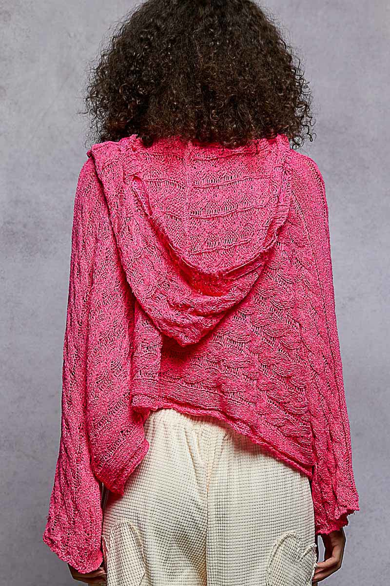 Cropped Hooded Knit Top with Full Sleeves