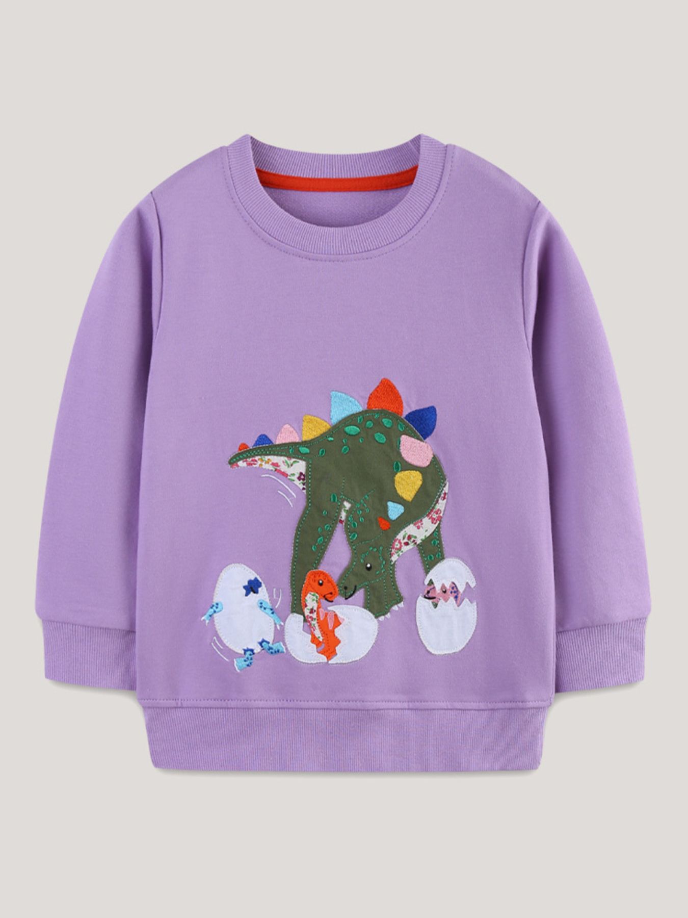 Children's Dinosaur Graphic Round Neck Sweatshirt