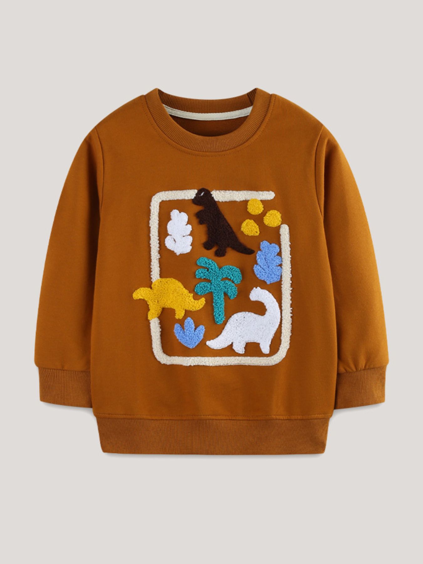 Children's Dinosaur Applique Crew Neck Sweatshirt