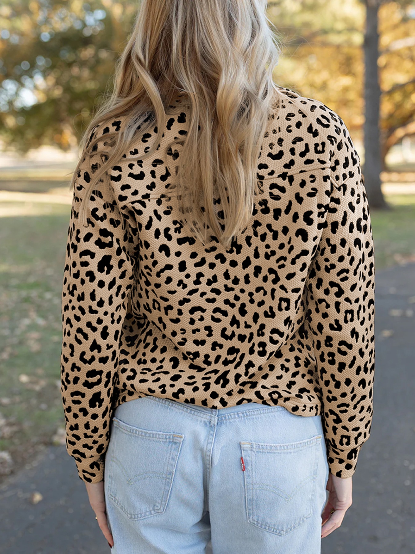 Leopard Polo Collar V Neck Pullover Top