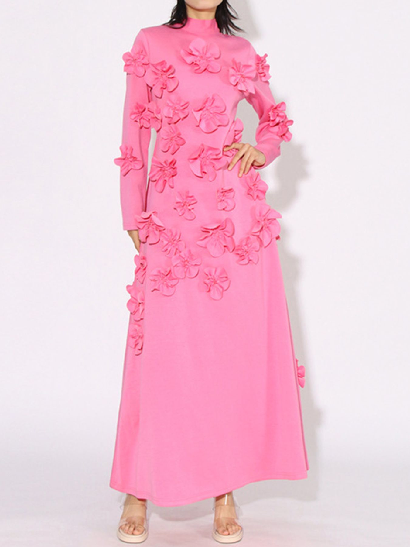 Floral Applique Long Sleeve Maxi Dress