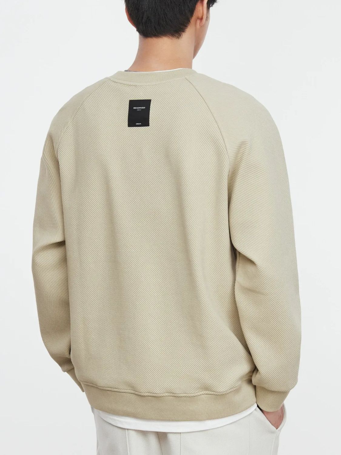 Men's Plus Size Contrast Crew Neck Sweatshirt