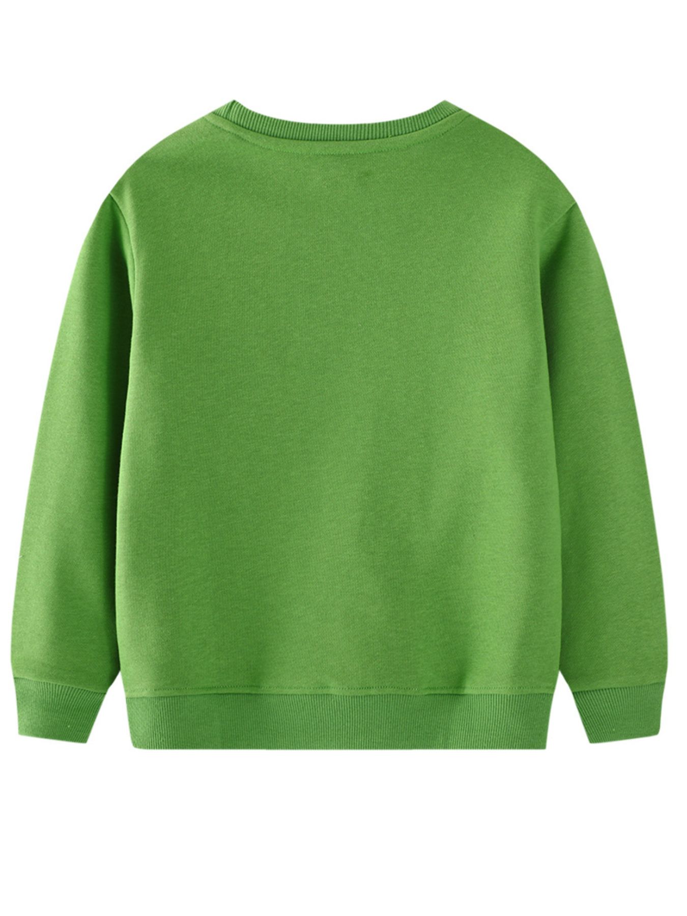 Children's Dinosaur Embroidered Crew Neck Sweatshirt