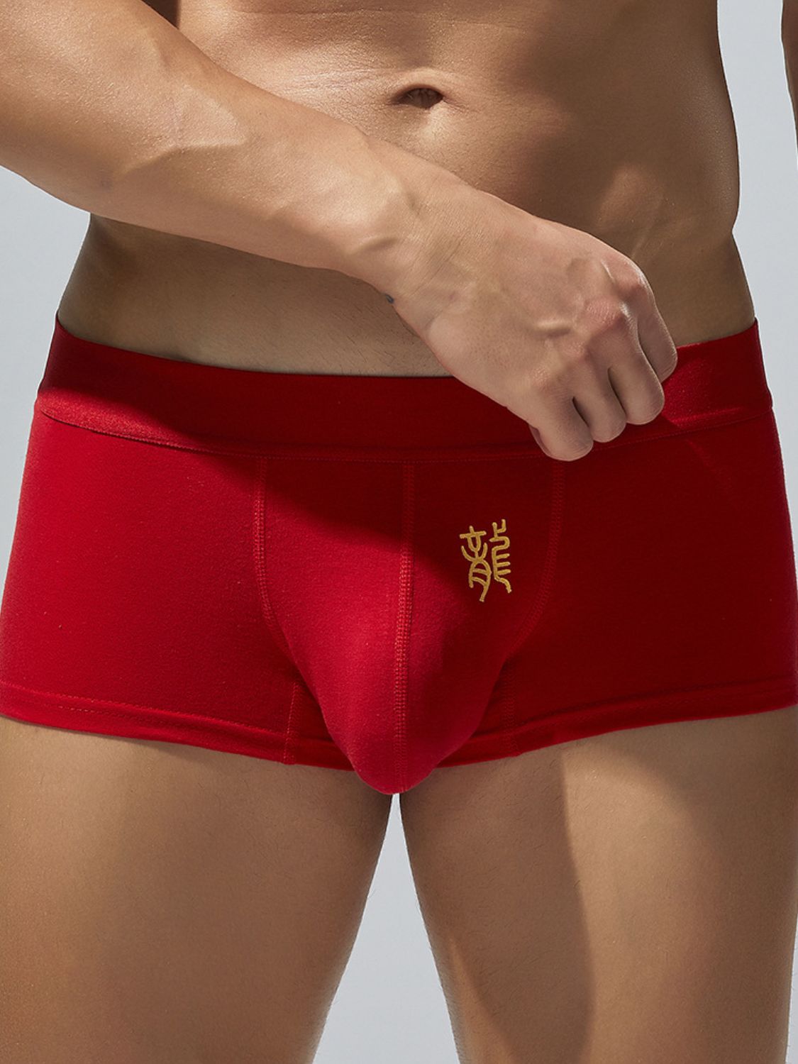 Men's Elastic Panty