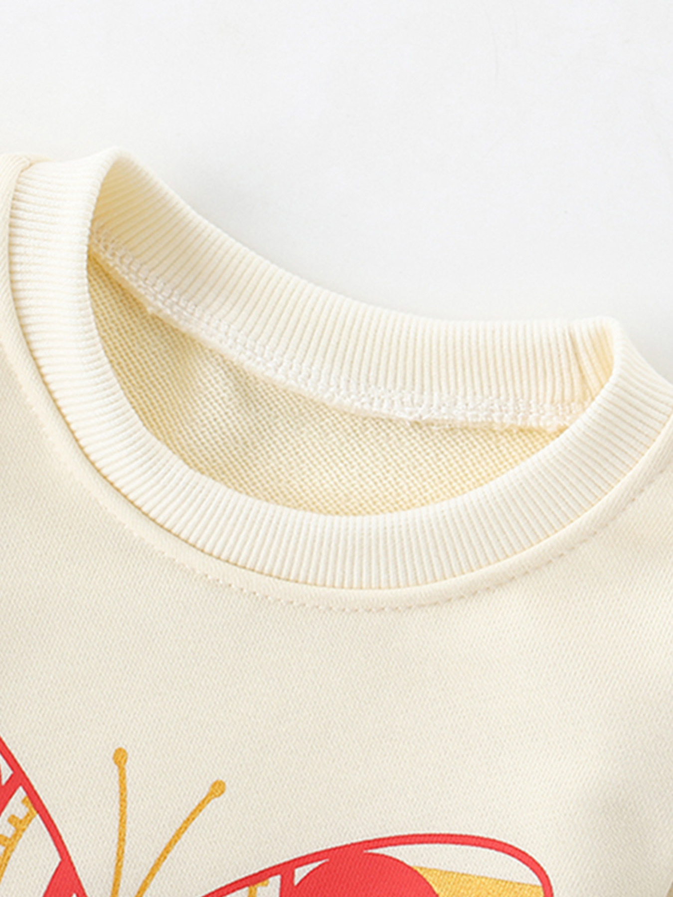 Children's Butterfly Graphic Crew Neck Sweatshirt