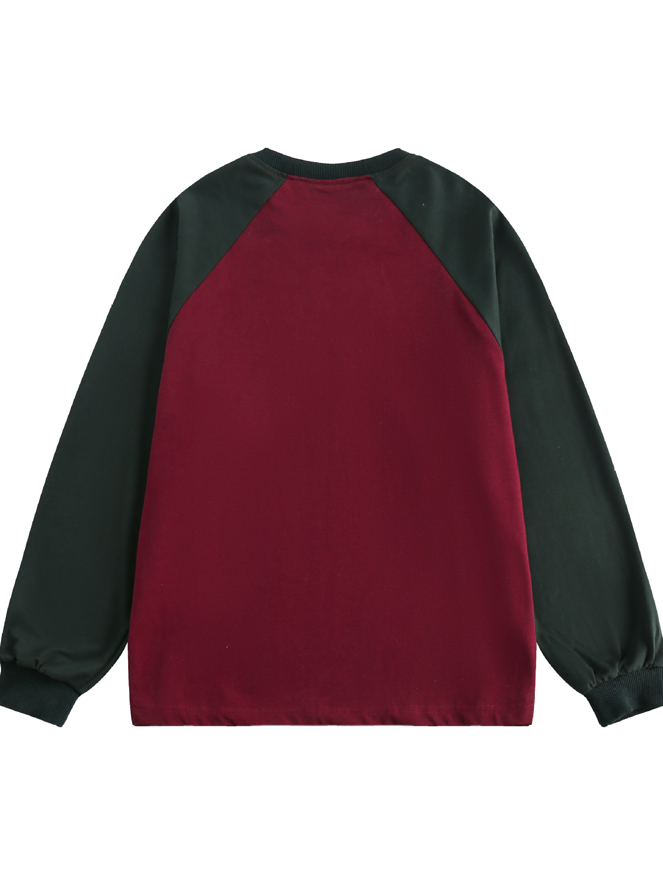 Men's Color Block Raglan Sleeve Letter Graphic Sweatshirt