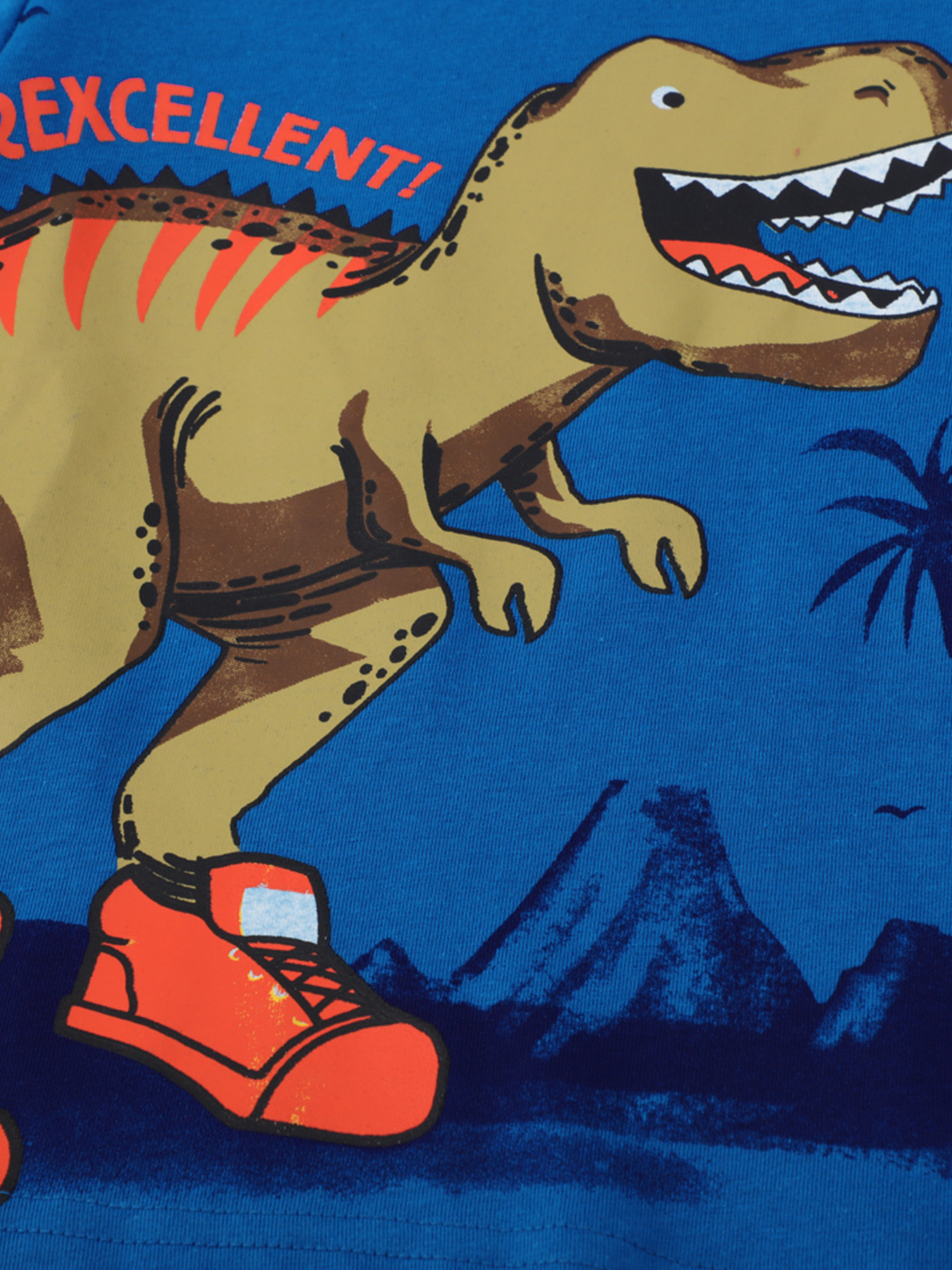 Children's Dinosaur Graphic Long Sleeve Crew Neck T-Shirt