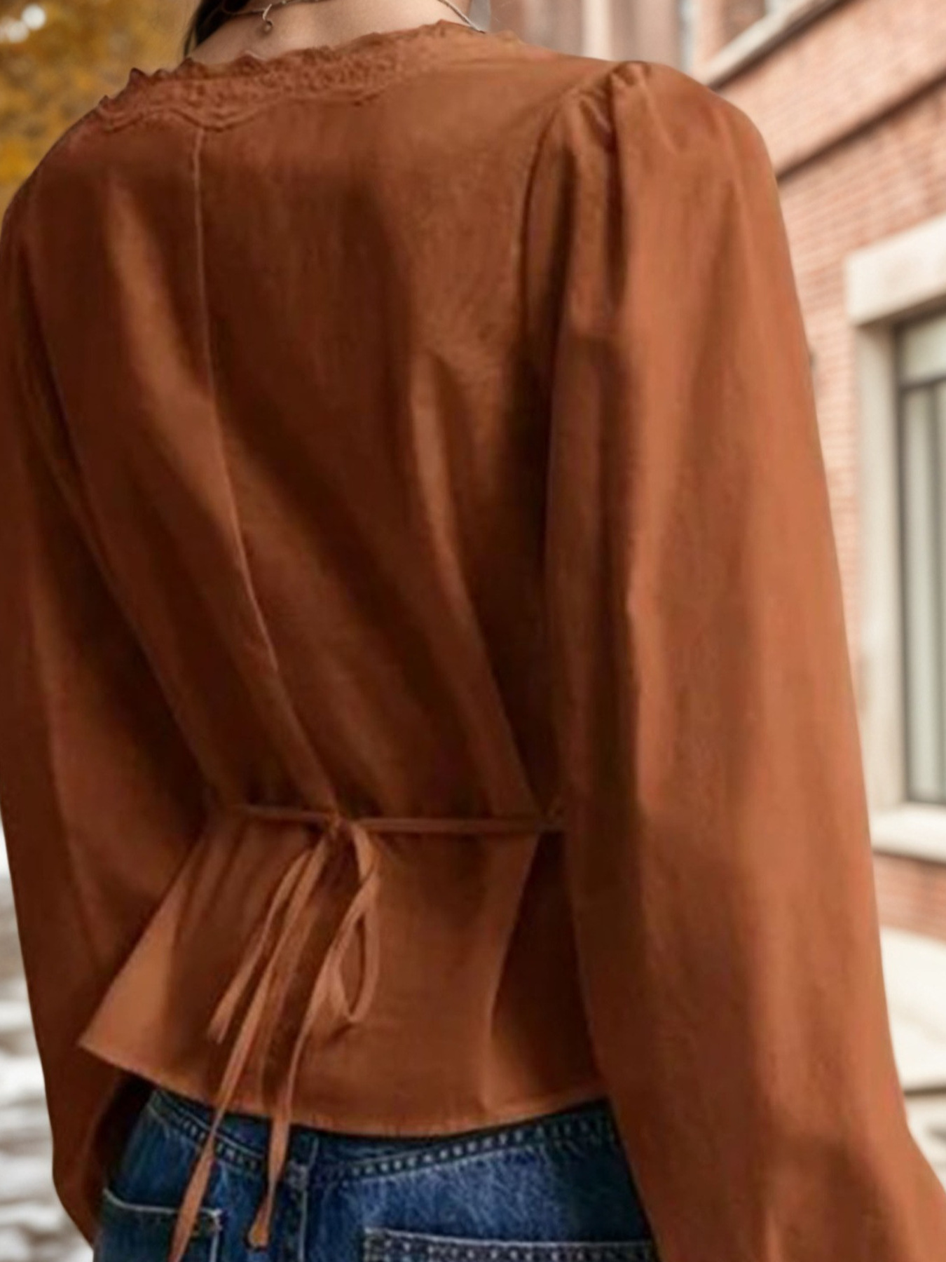 Lace Detail Balloon Sleeve Blouse