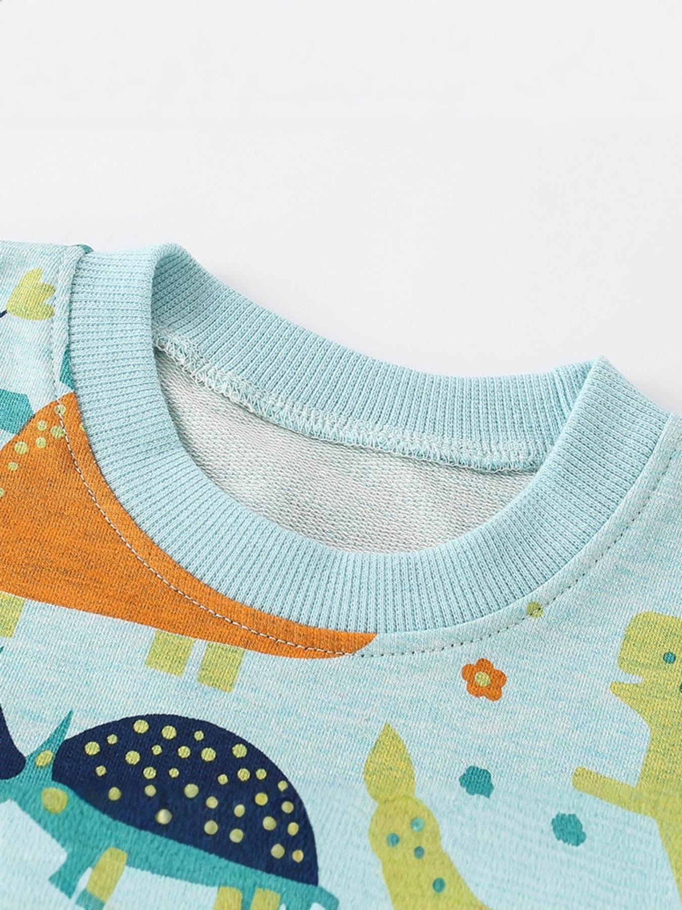 Children's Dinosaur Print Crew Neck Casual Sweatshirt