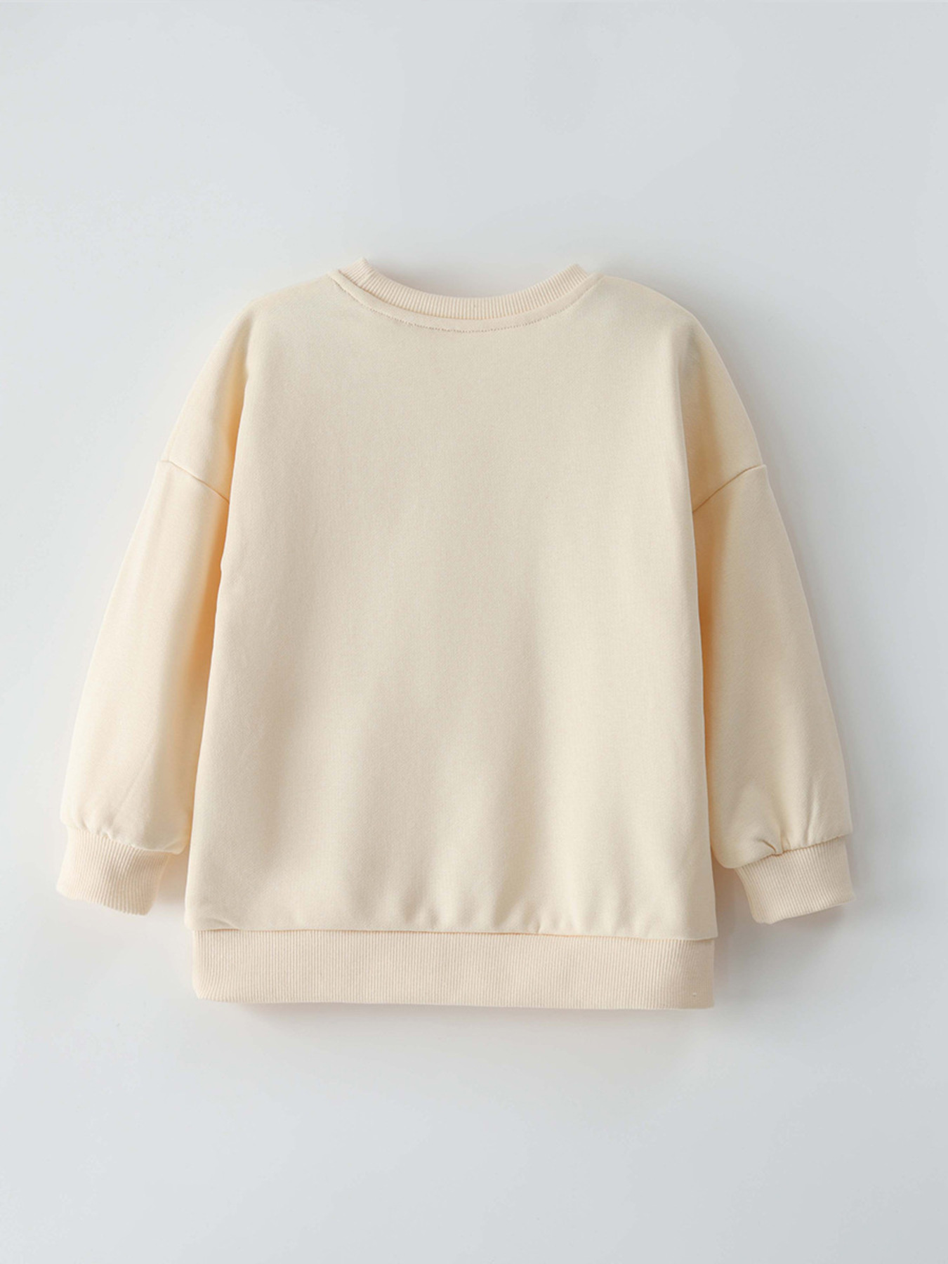 Children's Fun Fruits Graphic Crewneck Sweatshirt