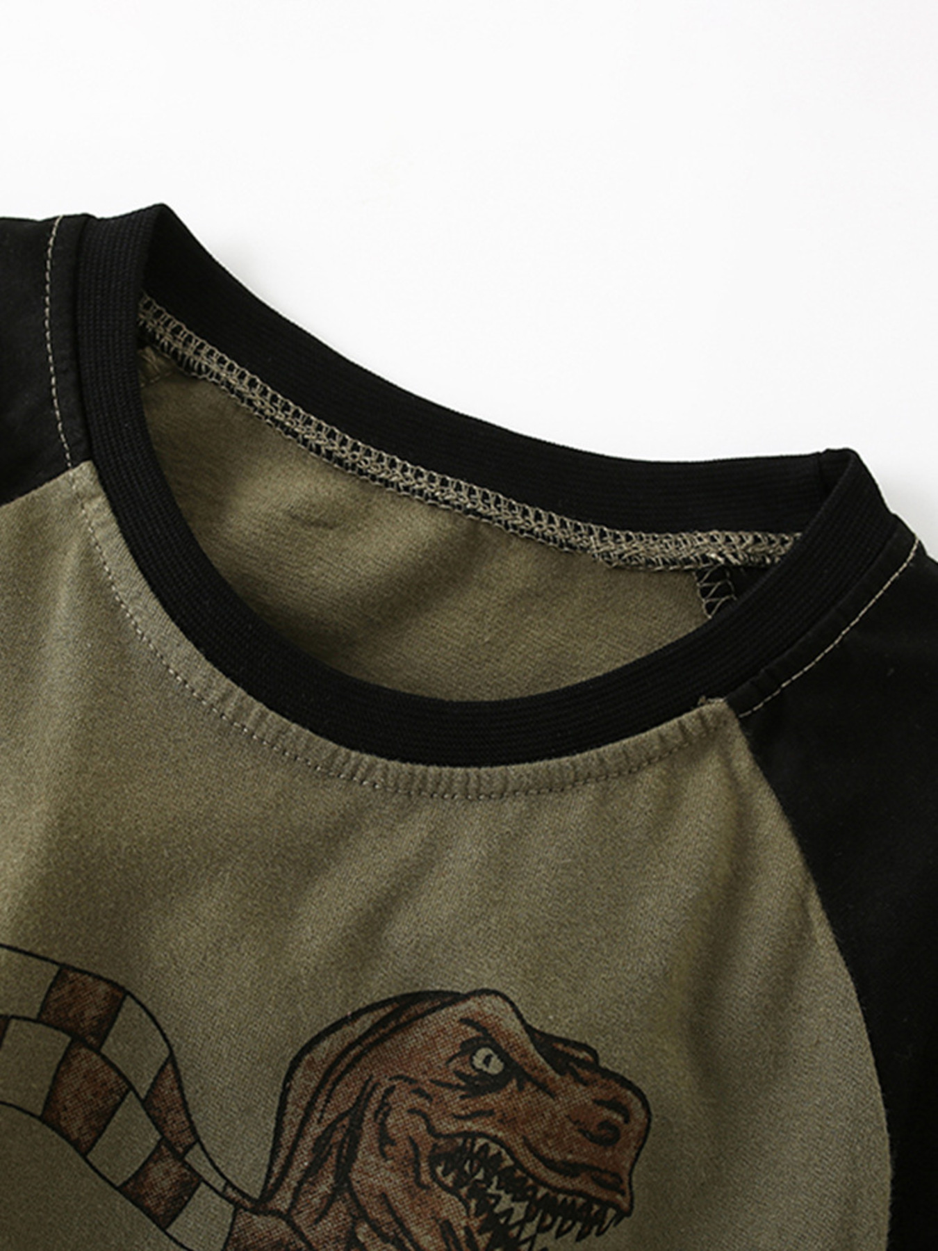 Children's Dinosaur Graphic Raglan Sleeve T-Shirt