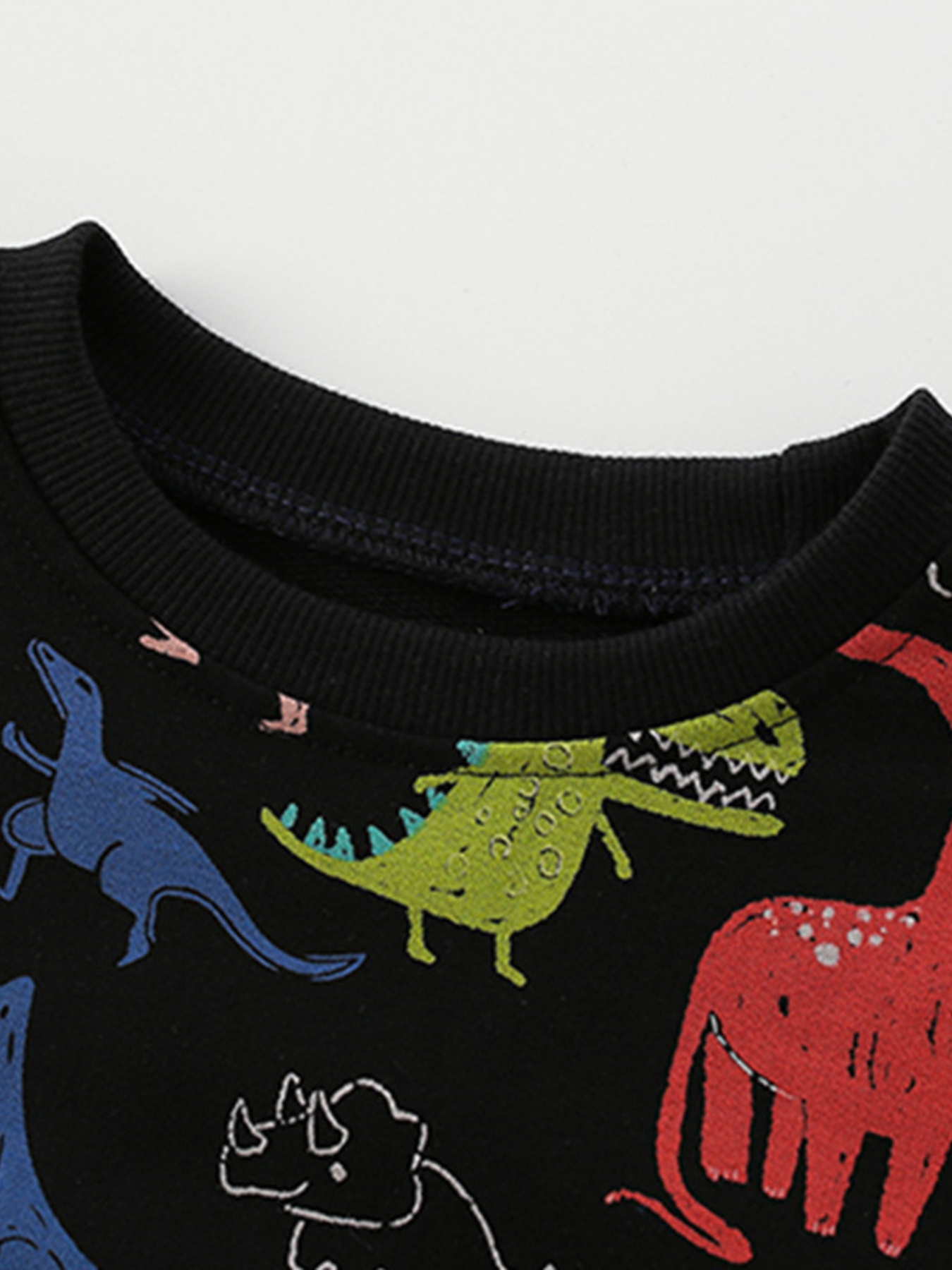 Children's Dinosaur Print Crew Neck Sweatshirt