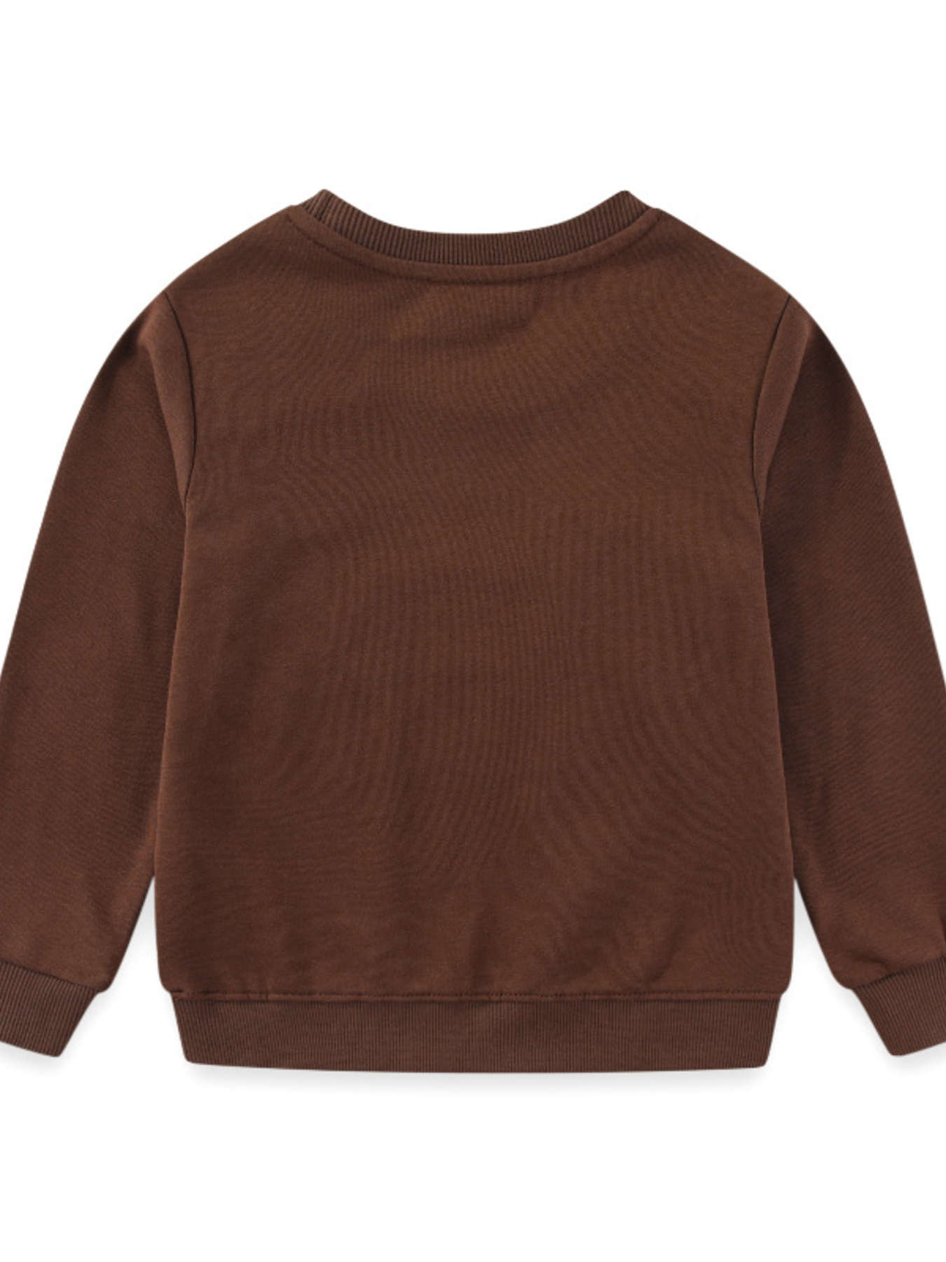 Children's Dinosaur Embroidered Crew Neck Sweatshirt