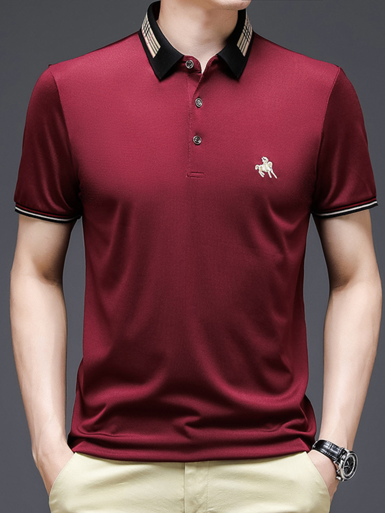 Men's Plus Size Contrast Collar Embroidered Detail Polo