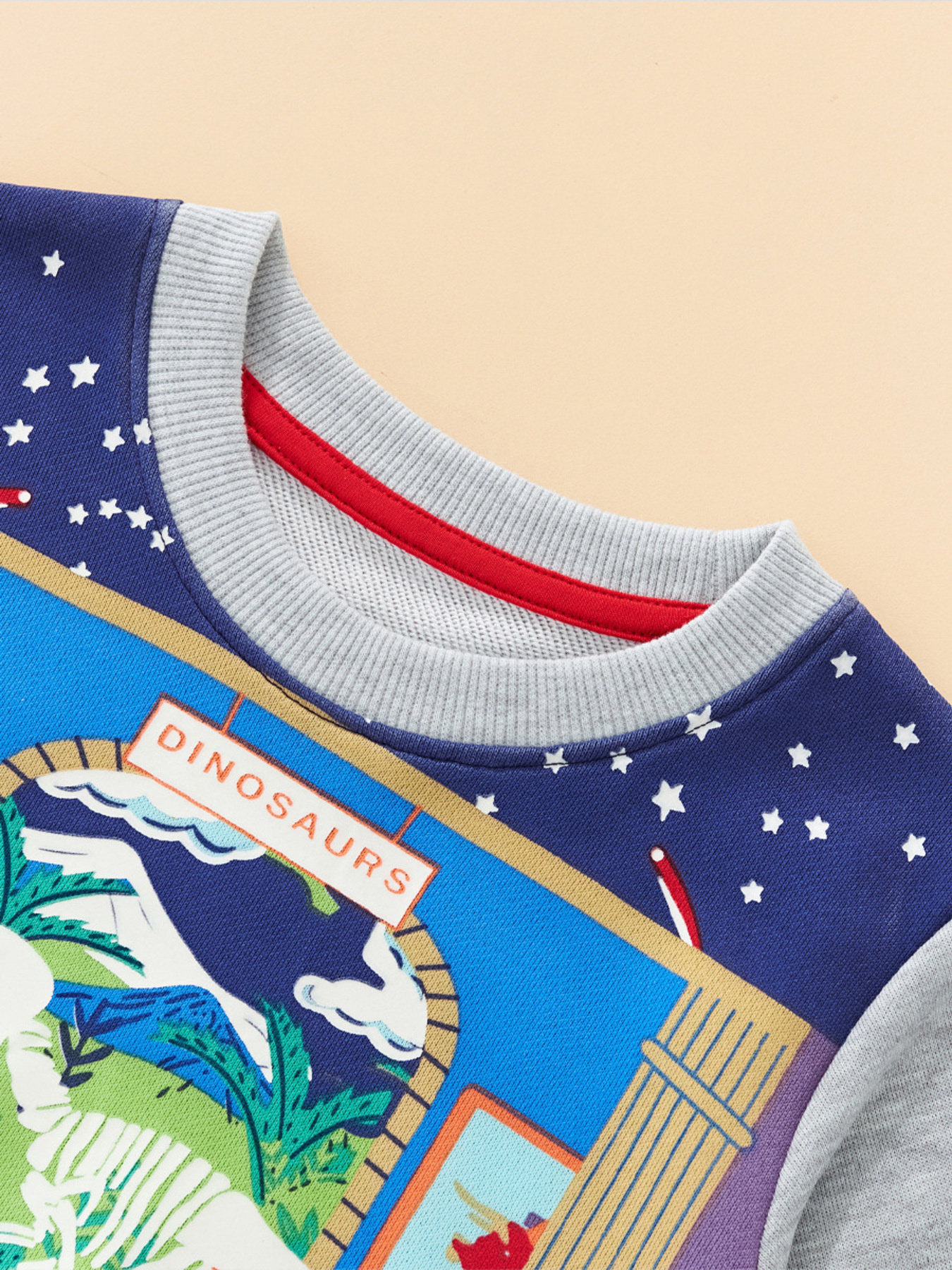 Children's Dinosaur Museum Graphic Crew Neck Sweatshirt