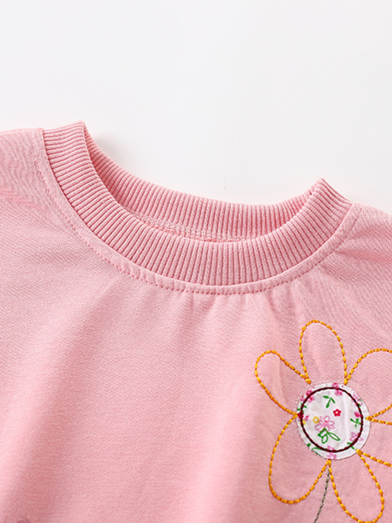 Children's Floral Embroidered Sweatshirt & Pants Set