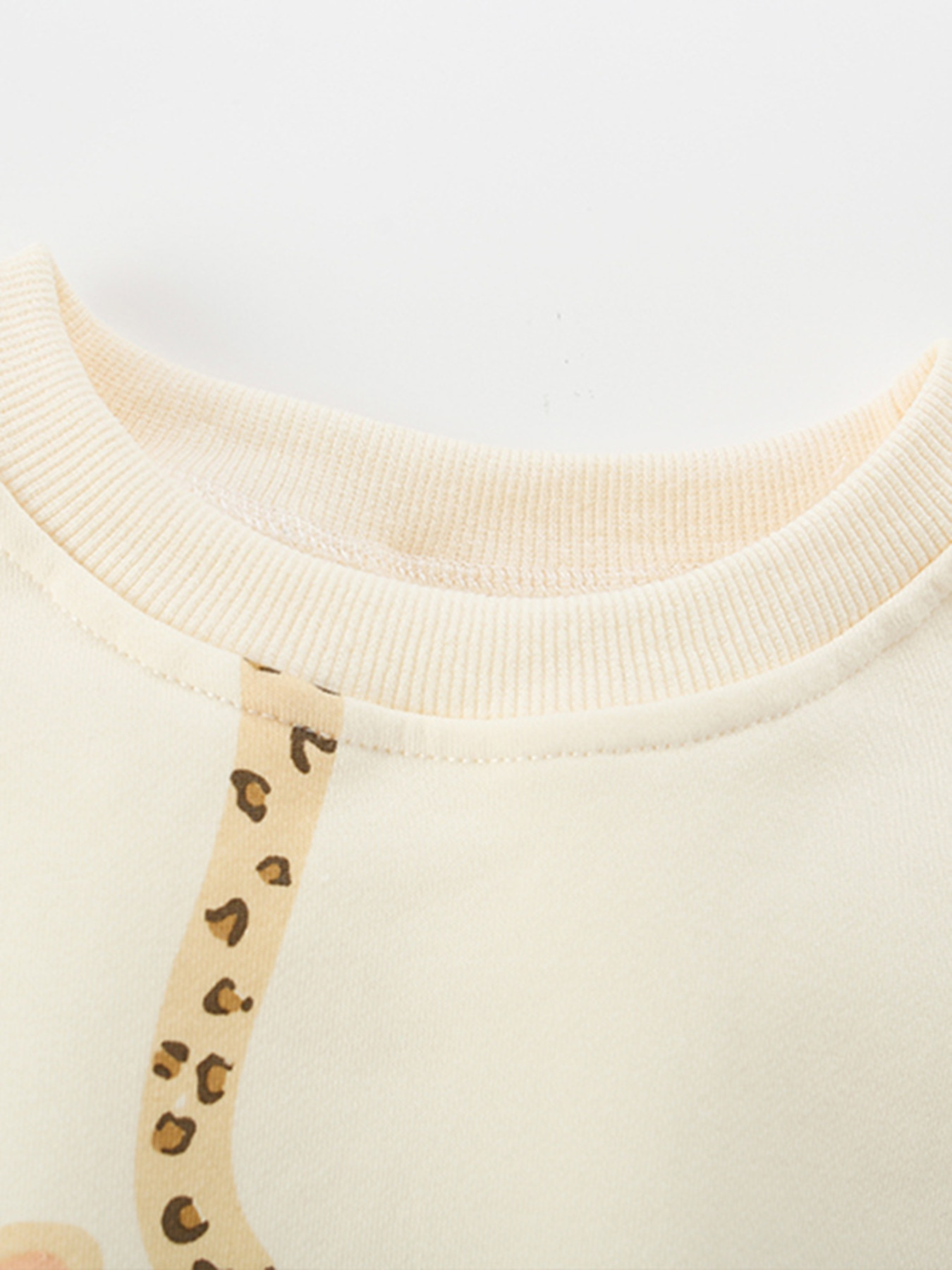 Children's Leopard Print Sweatshirt and Pants Set