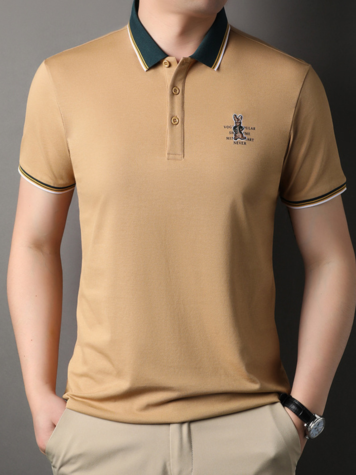 Men's Plus Size Collared Neck Short Sleeve Polo