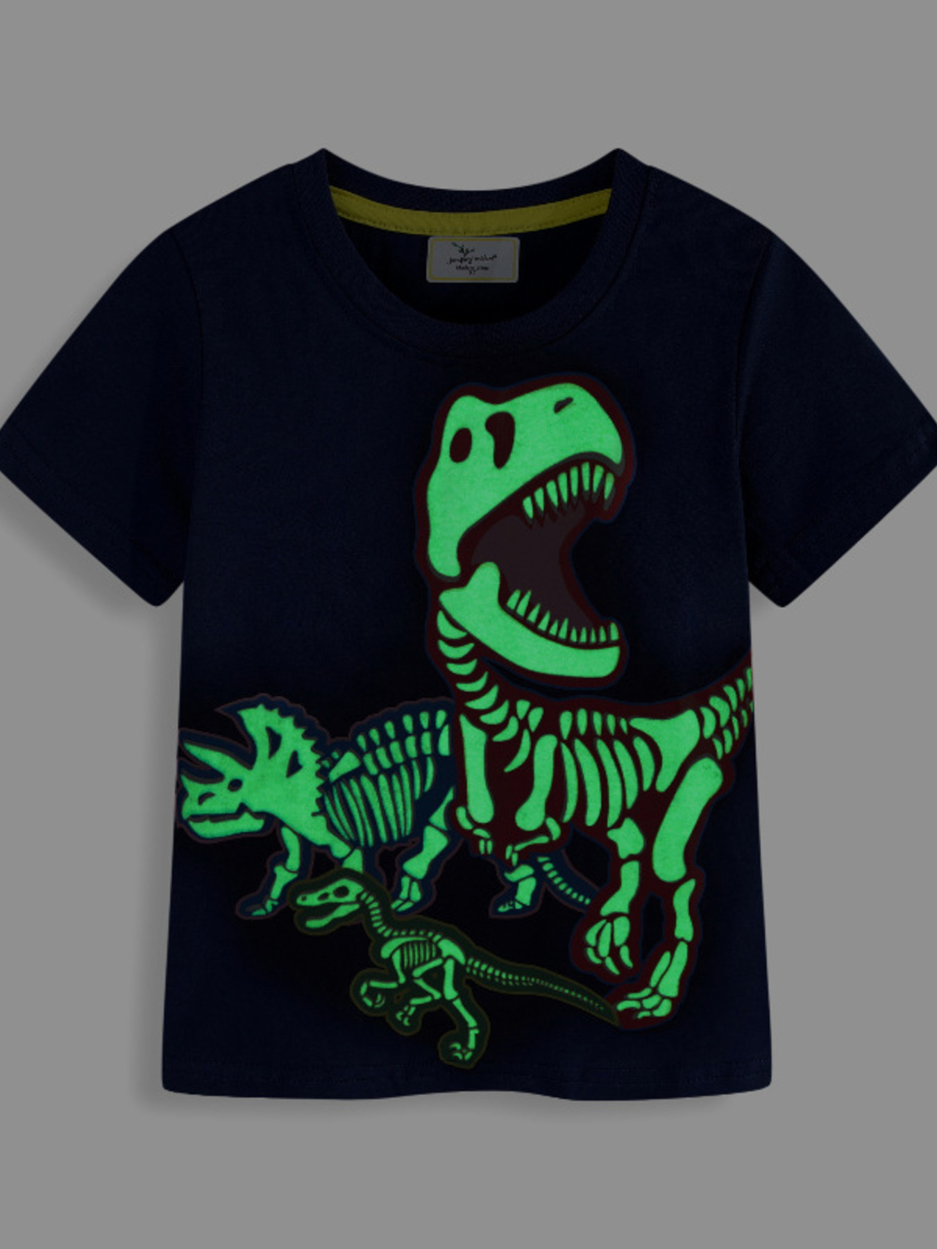 Children's Glow In The Dark Dinosaur Skeleton Graphic Crew Neck T-Shirt