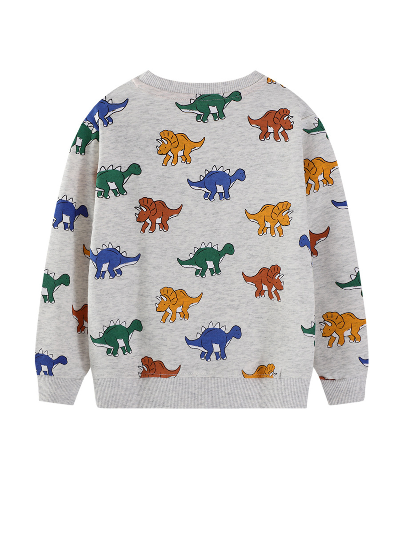 Children's Dinosaur Print Crew Neck Sweatshirt